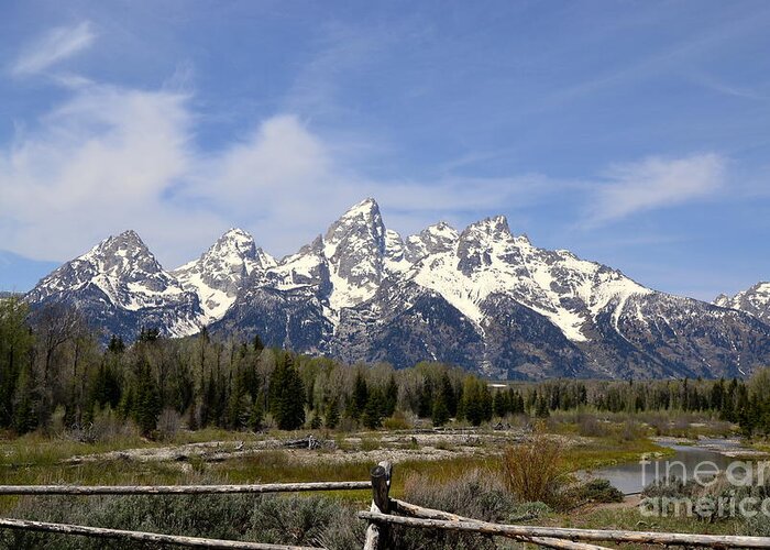 Mountains Greeting Card featuring the photograph Teton Majesty by Dorrene BrownButterfield