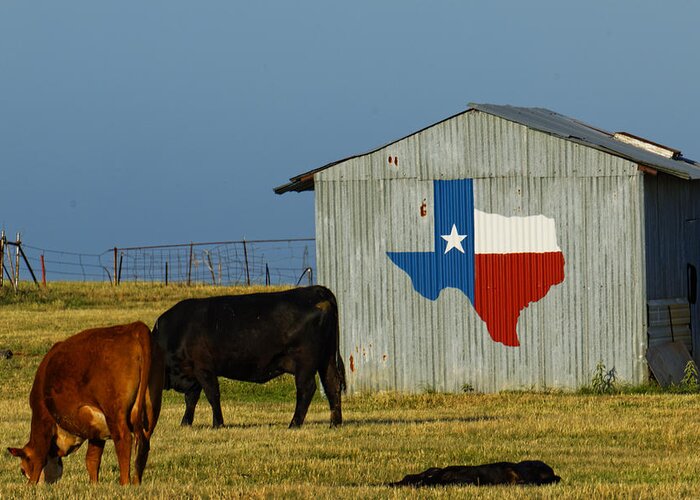 Texas Greeting Card featuring the photograph Texas Farm with Texas Logo by Jonathan Davison