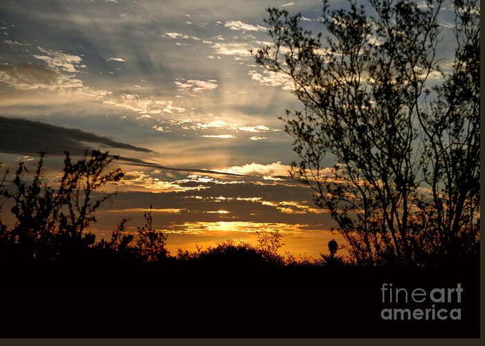Texas Sunrise Greeting Card featuring the photograph Texas Sunrise by Betty Depee