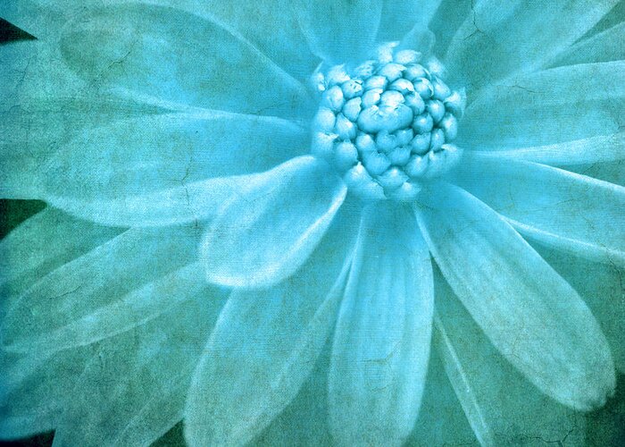 Flower Greeting Card featuring the photograph Textured Dahlia In Blue by Meirion Matthias