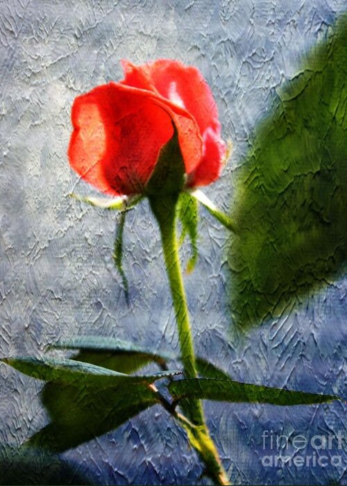 Rose Greeting Card featuring the photograph Textured Rose by Judy Palkimas
