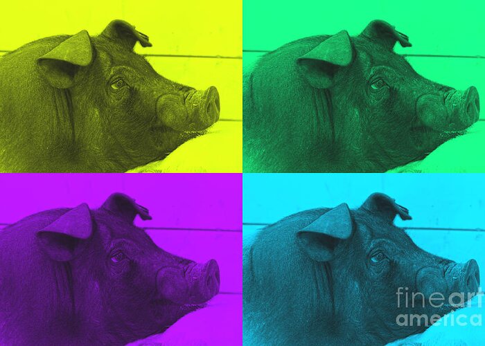 Pig Greeting Card featuring the photograph That Will Do Pig by Karen Anderson