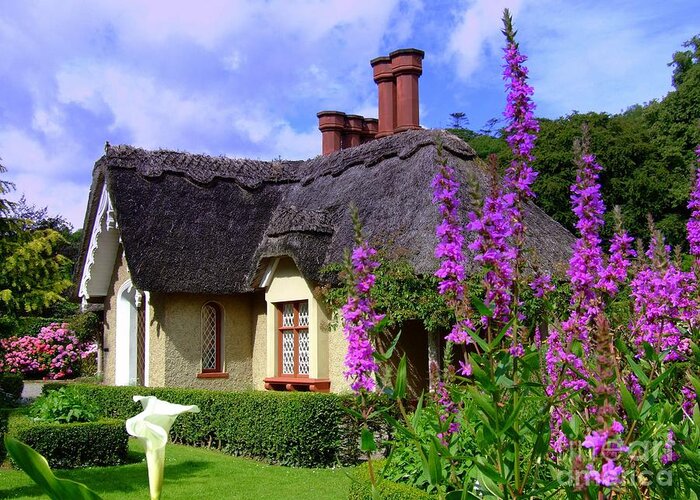 Killarney Greeting Card featuring the photograph Thatched cottage by Joe Cashin
