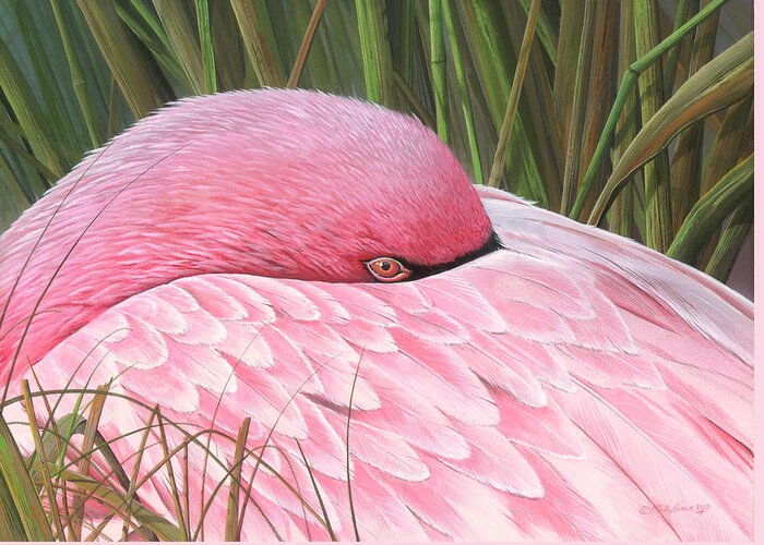 Flamingo Paintings Greeting Card featuring the painting The Awakening by Mike Brown
