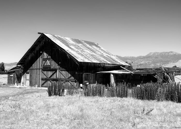 Barn Greeting Card featuring the photograph The Barn by Glenn McCarthy Art and Photography