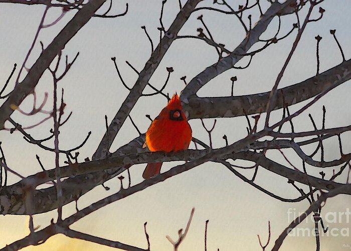 Cardinal Greeting Card featuring the mixed media The Cardinal in the Morning by Jennifer White