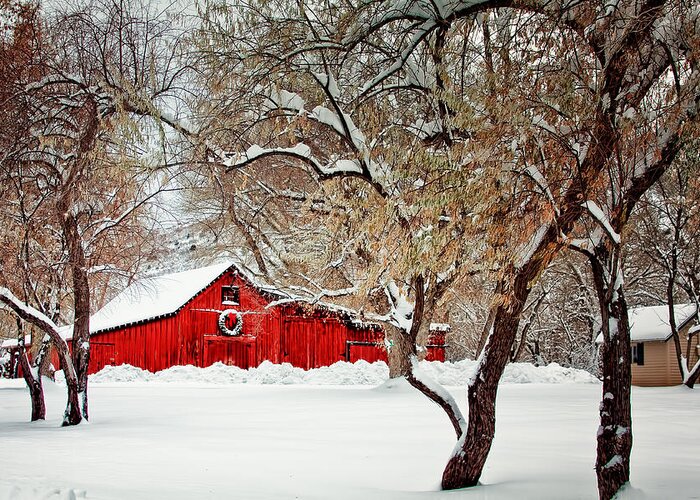 Christmas Greeting Card featuring the photograph The Christmas Barn by Teri Virbickis