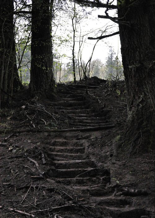 Stairs Greeting Card featuring the photograph The Climb by Heather L Wright