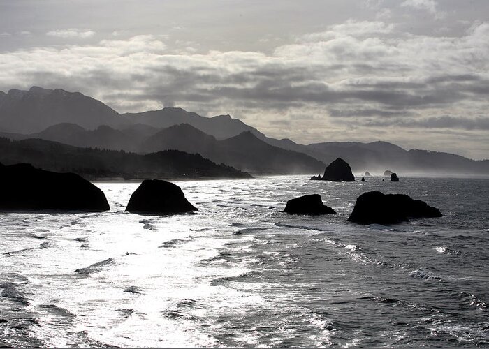 Oregon Greeting Card featuring the photograph The Coast by Steve Parr