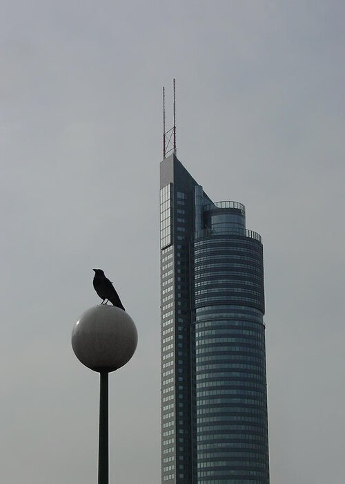 Architecture Greeting Card featuring the photograph The Crow and the Milleniumtower in Winter by Menega Sabidussi