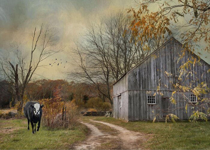 Cow Greeting Card featuring the photograph The Curious by Robin-Lee Vieira