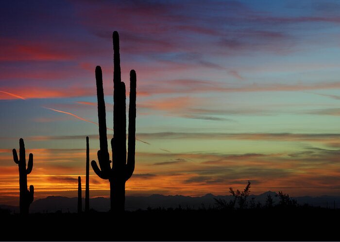 Sunset Greeting Card featuring the photograph The Desert Southwest Skies by Saija Lehtonen