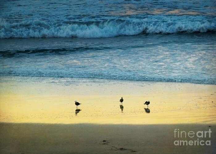 Coastal Greeting Card featuring the photograph The Early Birds by Ellen Cotton