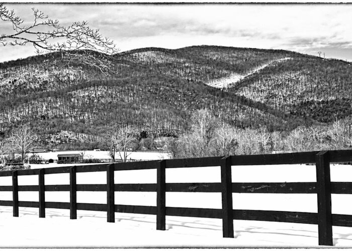The Fenceline B W Greeting Card featuring the photograph The Fenceline B W by Jemmy Archer