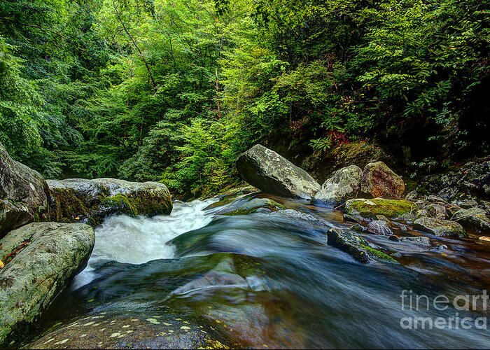 Stream Greeting Card featuring the photograph The Flow Keeps On by Michael Eingle