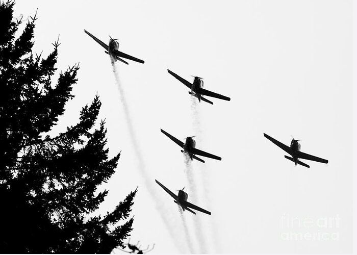 Planes Greeting Card featuring the photograph The Fly Past by Chris Dutton