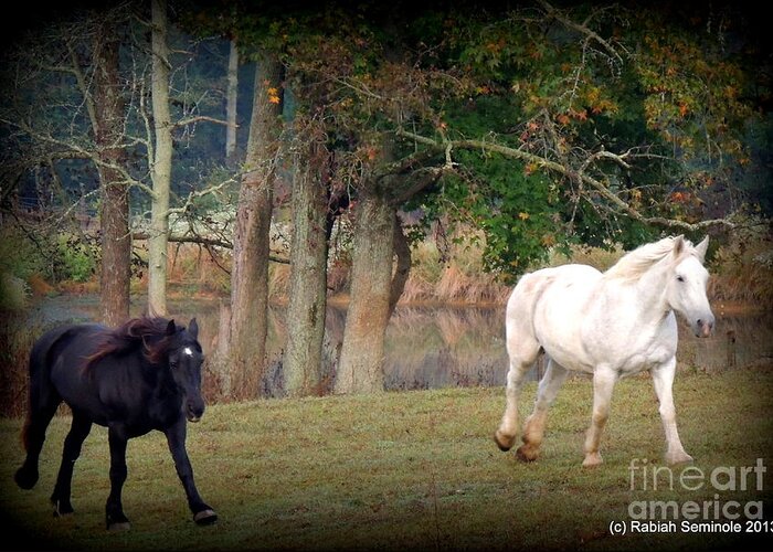 Horses Greeting Card featuring the photograph The Girls at Blue Horse Rescue by Rabiah Seminole