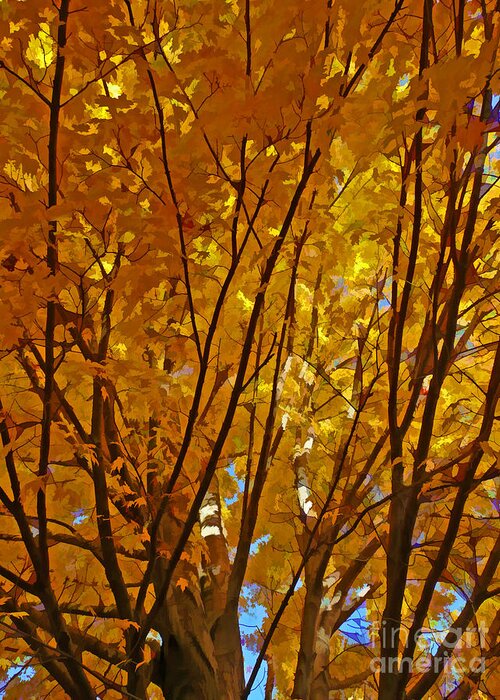 Fall Greeting Card featuring the digital art The Golden Tree by Jayne Carney