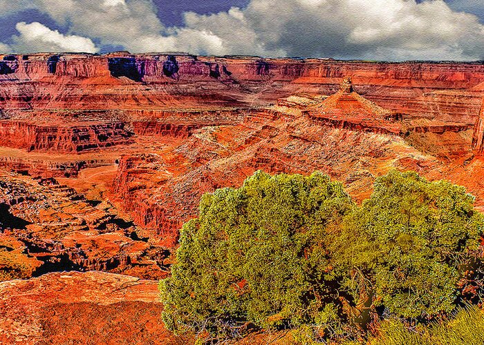 Grand Canyon Greeting Card featuring the photograph The Grand Canyon Dead Horse Point by Bob and Nadine Johnston