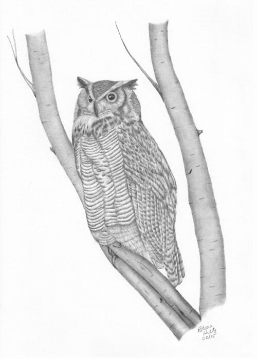 Owl Greeting Card featuring the drawing The Great Horned Owl Watches by Patricia Hiltz