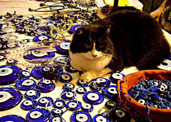 Cat Greeting Card featuring the photograph The Guard of Evil Eye Beads by Zafer Gurel