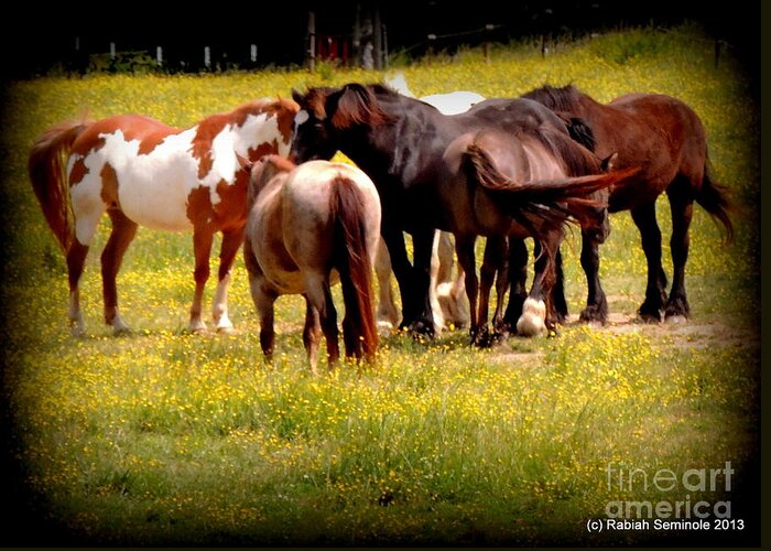 Horses Greeting Card featuring the photograph The Herd by Rabiah Seminole