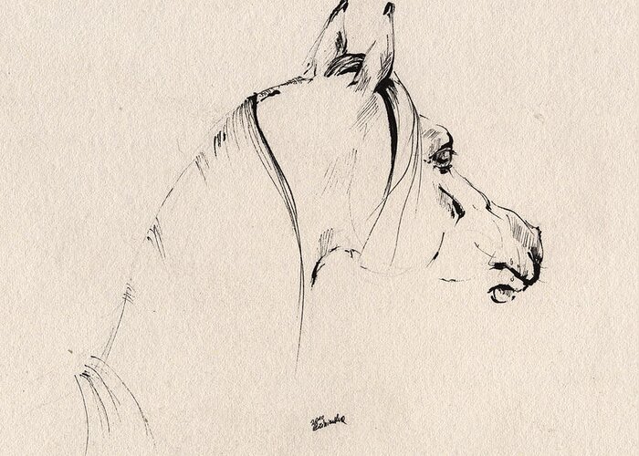 Horse Greeting Card featuring the drawing The Horse Sketch by Ang El