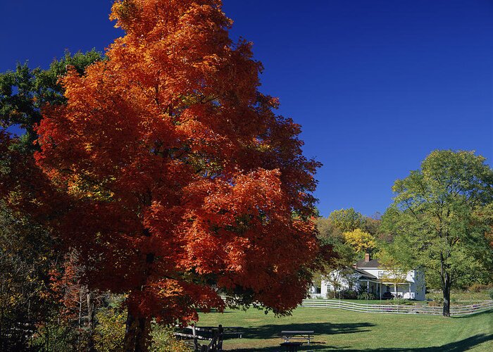Fall Greeting Card featuring the photograph The Inn at Brandywine by Clint Buhler