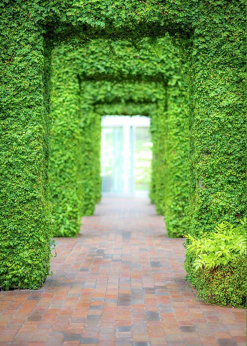 Scenics Greeting Card featuring the photograph The Ivy Doorways by Chris Gotz Photography