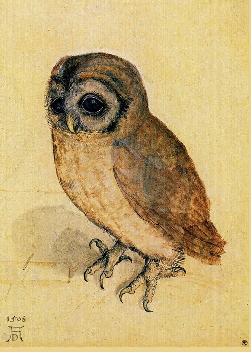 Owl Greeting Card featuring the painting The Little Owl by Albrecht Durer