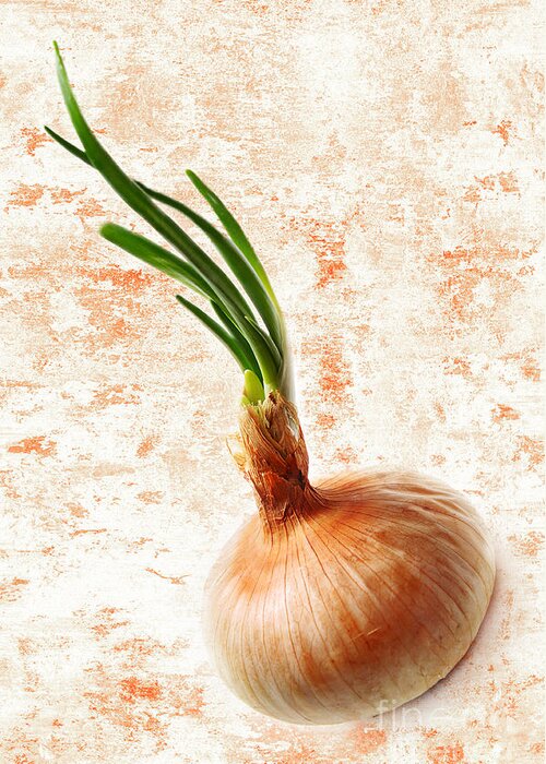 Onion Greeting Card featuring the photograph The Lonely Onion by Andee Design