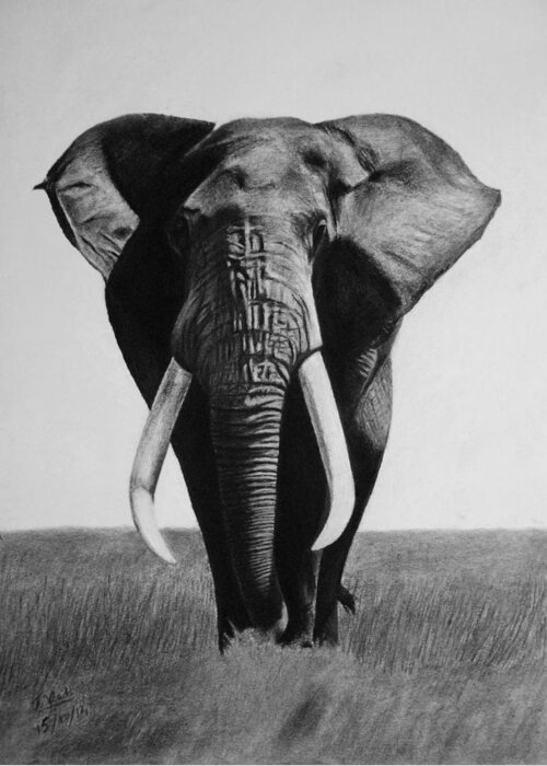 Elephant Greeting Card featuring the drawing The magnificent one by Vishvesh Tadsare