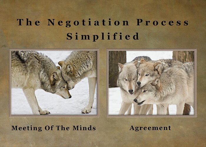 Wolves Greeting Card featuring the photograph The Negotiation Process Simplified by Gary Slawsky