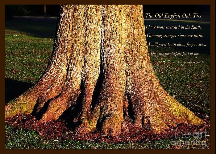 Oak Tree Greeting Card featuring the photograph The Old English Oak Tree by Joan-Violet Stretch