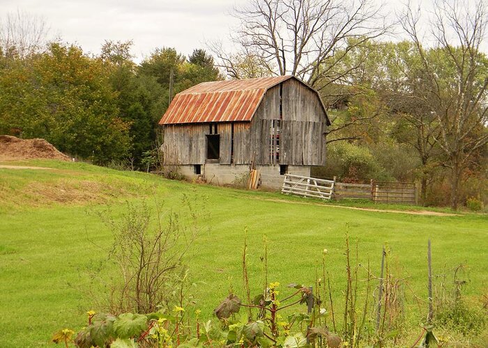 Rustic Greeting Card featuring the photograph The Old Shed by Jean Goodwin Brooks
