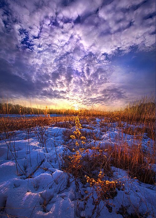 Sunrise Greeting Card featuring the photograph The Other Side of Waking by Phil Koch