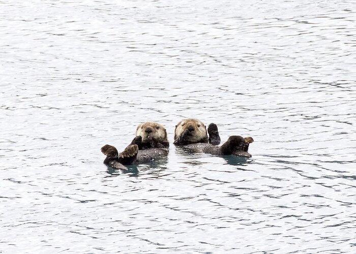 Sea Greeting Card featuring the photograph The Otters Say Hello by Saya Studios