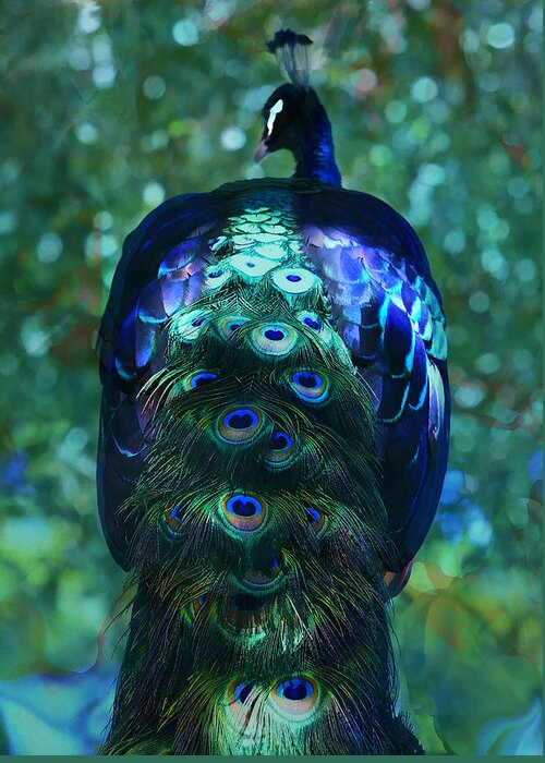 Peacock Greeting Card featuring the photograph The Persian Bird by Kandy Hurley