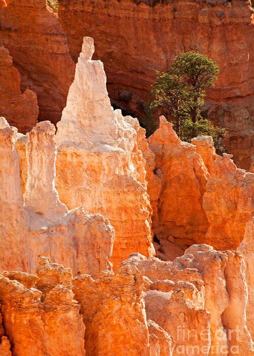 Bryce Canyon Greeting Card featuring the photograph The Pope Sunrise Point Bryce Canyon National Park by Fred Stearns