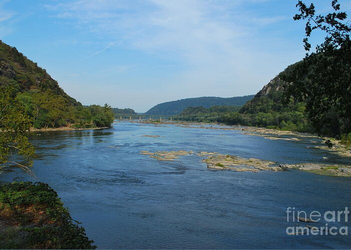 Potomac Greeting Card featuring the photograph The Potomac River At Harper's Ferry by Bob Sample
