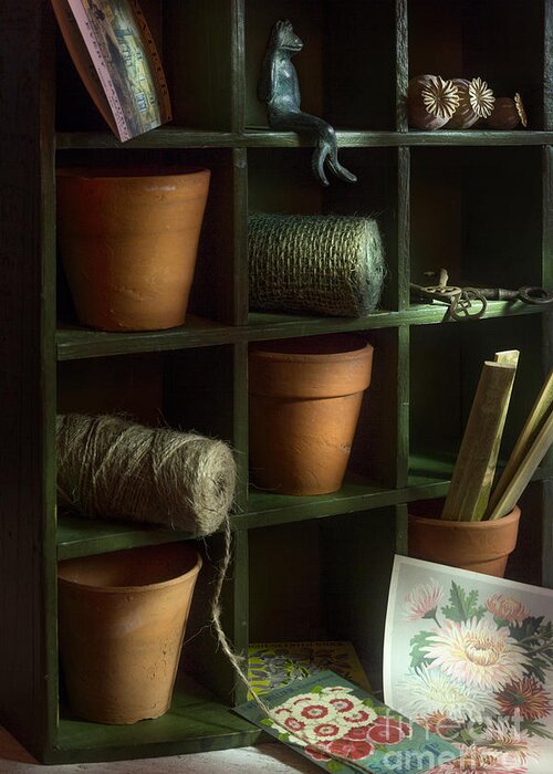 Potting Shed Greeting Card featuring the photograph The Potting Shed by Ann Garrett