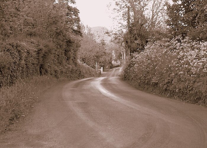Road Greeting Card featuring the photograph The Road Most Taken by Lisa Blake