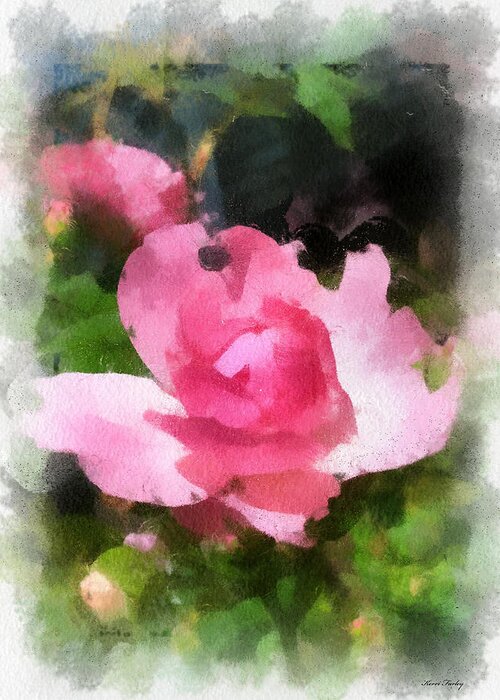 The Rose Greeting Card featuring the photograph The Rose by Kerri Farley