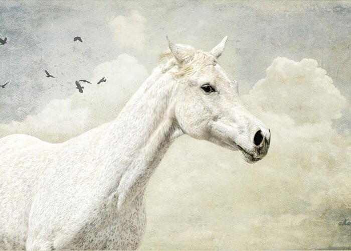 Horse Greeting Card featuring the photograph The Runner by Karen Slagle