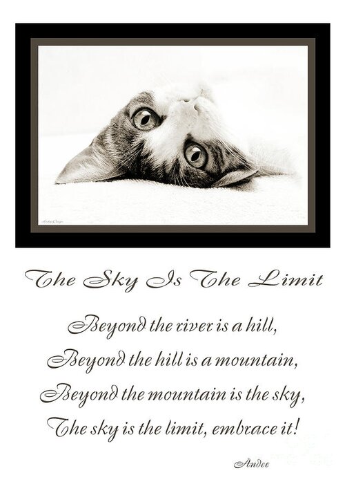 Cat Greeting Card featuring the photograph The Sky Is The Limit V 3 by Andee Design
