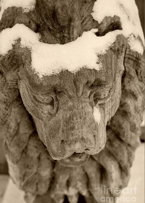Stone Lion Greeting Card featuring the photograph The Stone Lions Frozen Tear by John Harmon