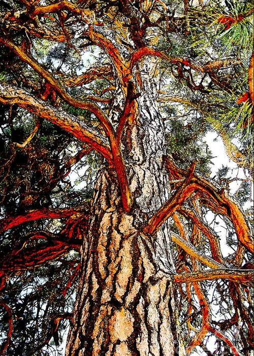 Tree Bark Texture Photography Mixed Media Art Artwork Colossal Greeting Card featuring the photograph The Strong One by Joseph J Stevens