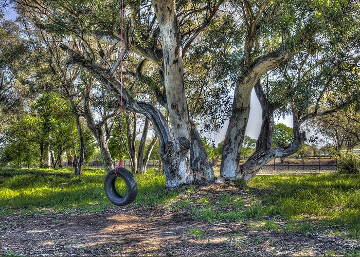 Rocklin Greeting Card featuring the photograph The Tire Swing by Jim Thompson