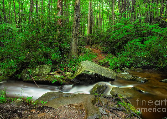 Smoky Mountain Stream Greeting Card featuring the photograph The Trail Continues by Michael Eingle