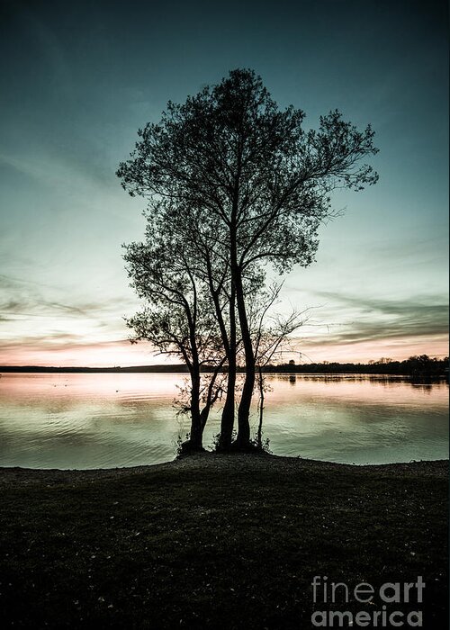 Ammersee Greeting Card featuring the photograph The Trees Silhouette by Hannes Cmarits